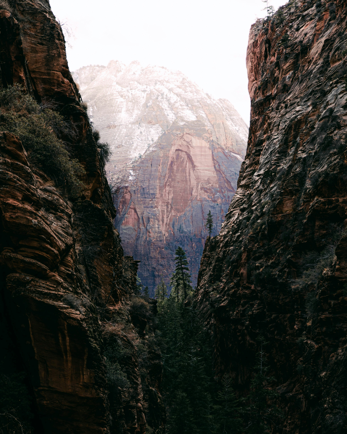 best-jeep-rental-zion-ut