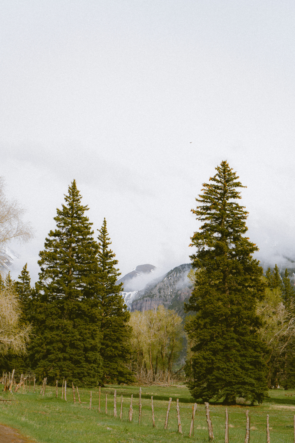 jeep-rentals-mountain-village