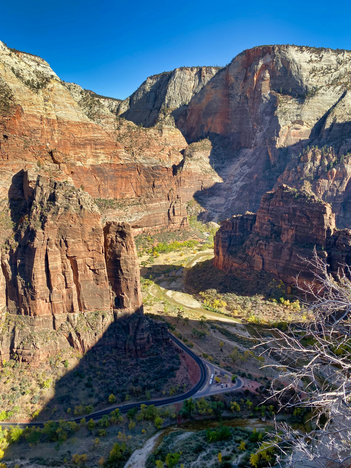 zion-utah-jeep-rentals