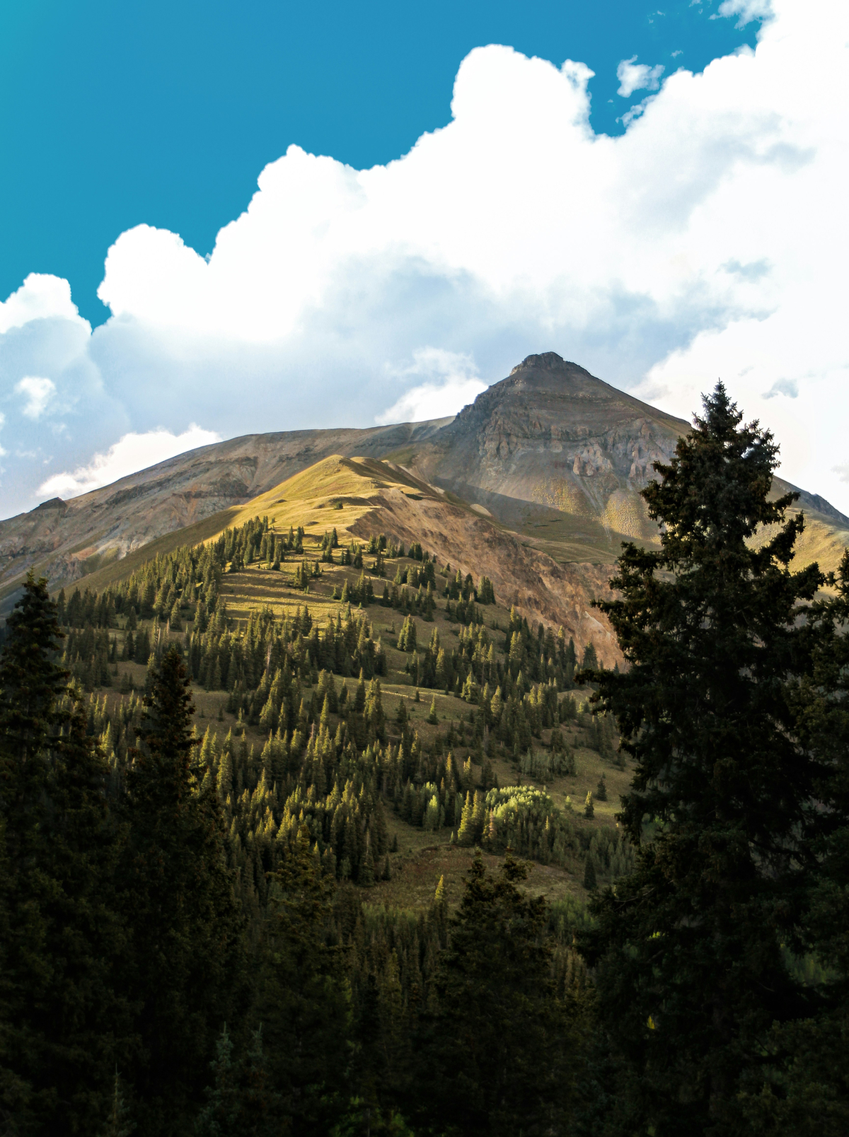 durango-colorado-jeep-rentals