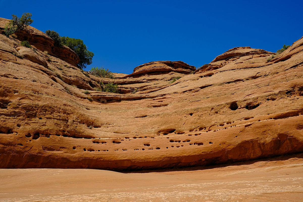 group-atv-rentals-in-moab-utah