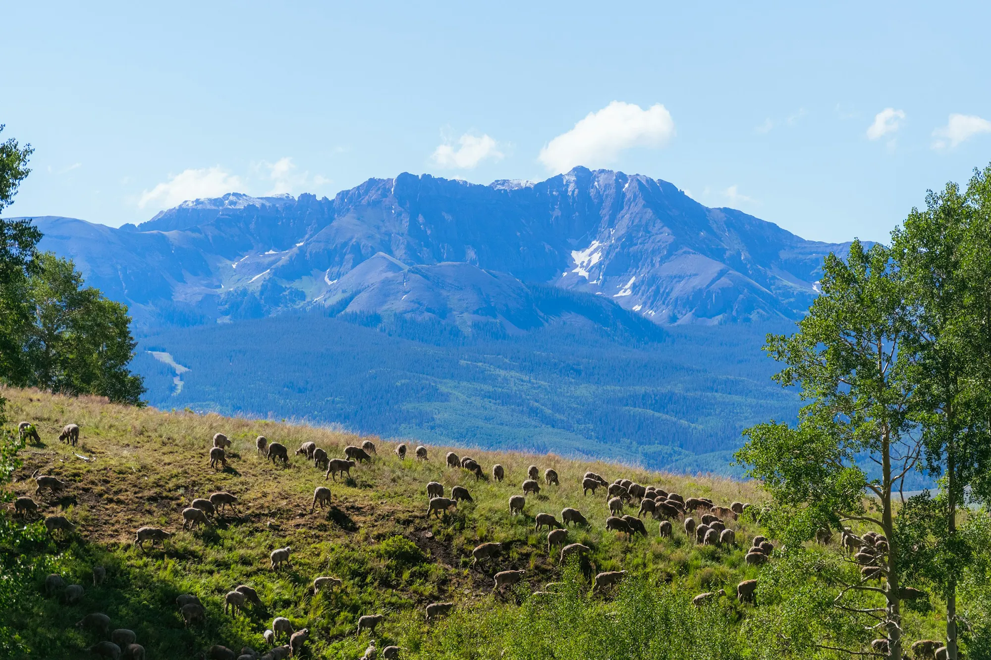 Last Dollar Road in the San Juan Mountains, with dramatic alpine peaks visible in all directions and expansive mountain vistas surrounding the high-elevation scenic drive.